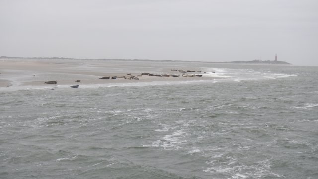 HWK Texel 2015 072.jpg